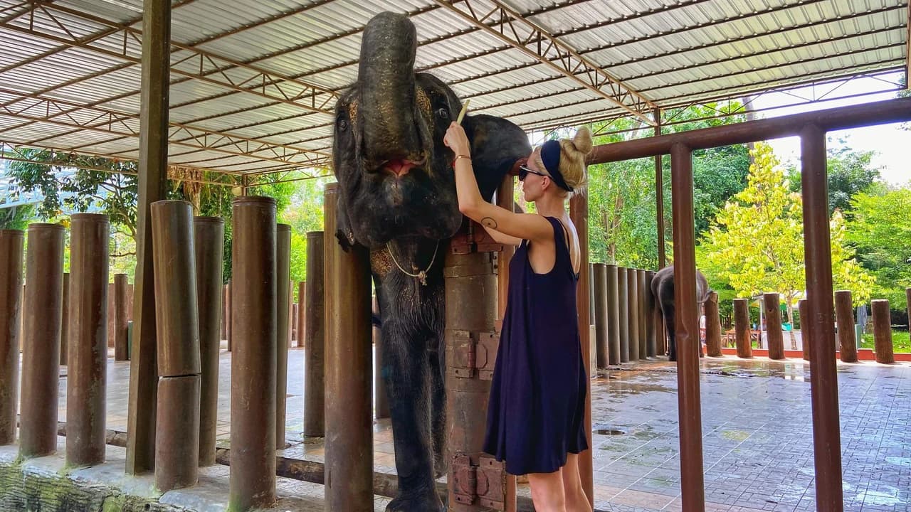 Batu Caves and Kuala Gandah Elephant Sanctuary Full-Day Tour from Kuala Lumpur - Photo 5