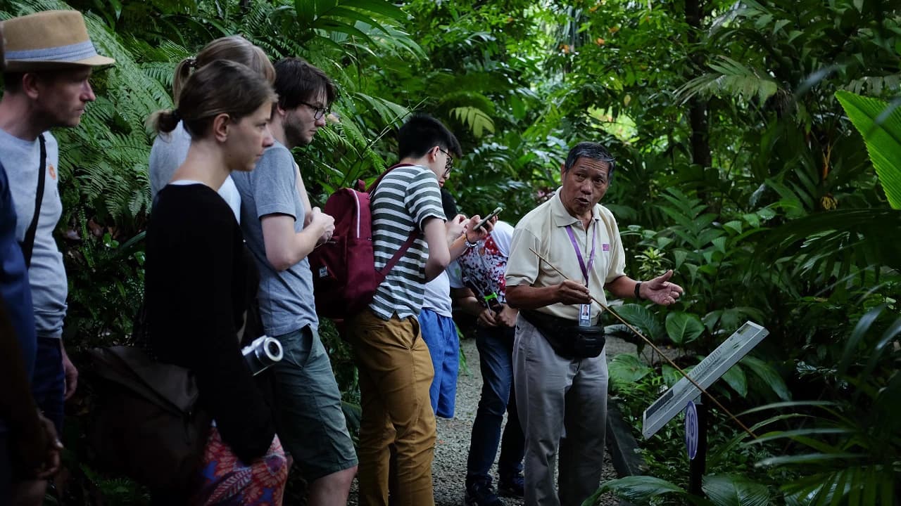 Cooking Class at Tropical Spice Garden - image 7