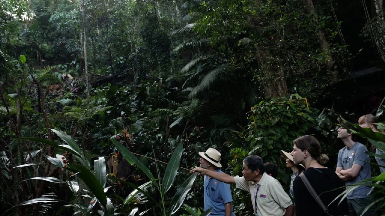 Cooking Class at Tropical Spice Garden - image 8