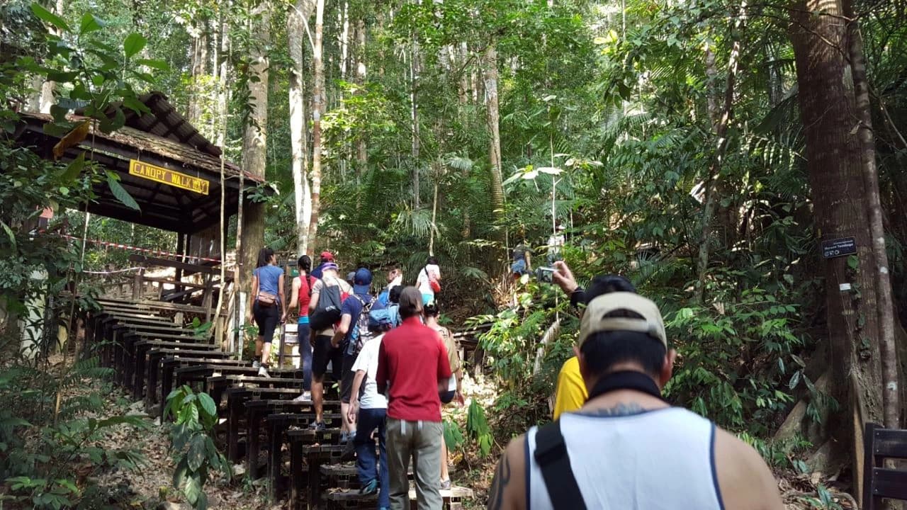 Taman Negara National Park Tour from Kuala Lumpur - Photo 3