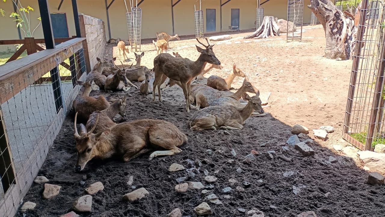 Langkawi Wildlife Park