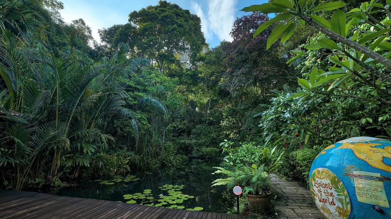 Tropical Spice Garden Penang - Photo 4