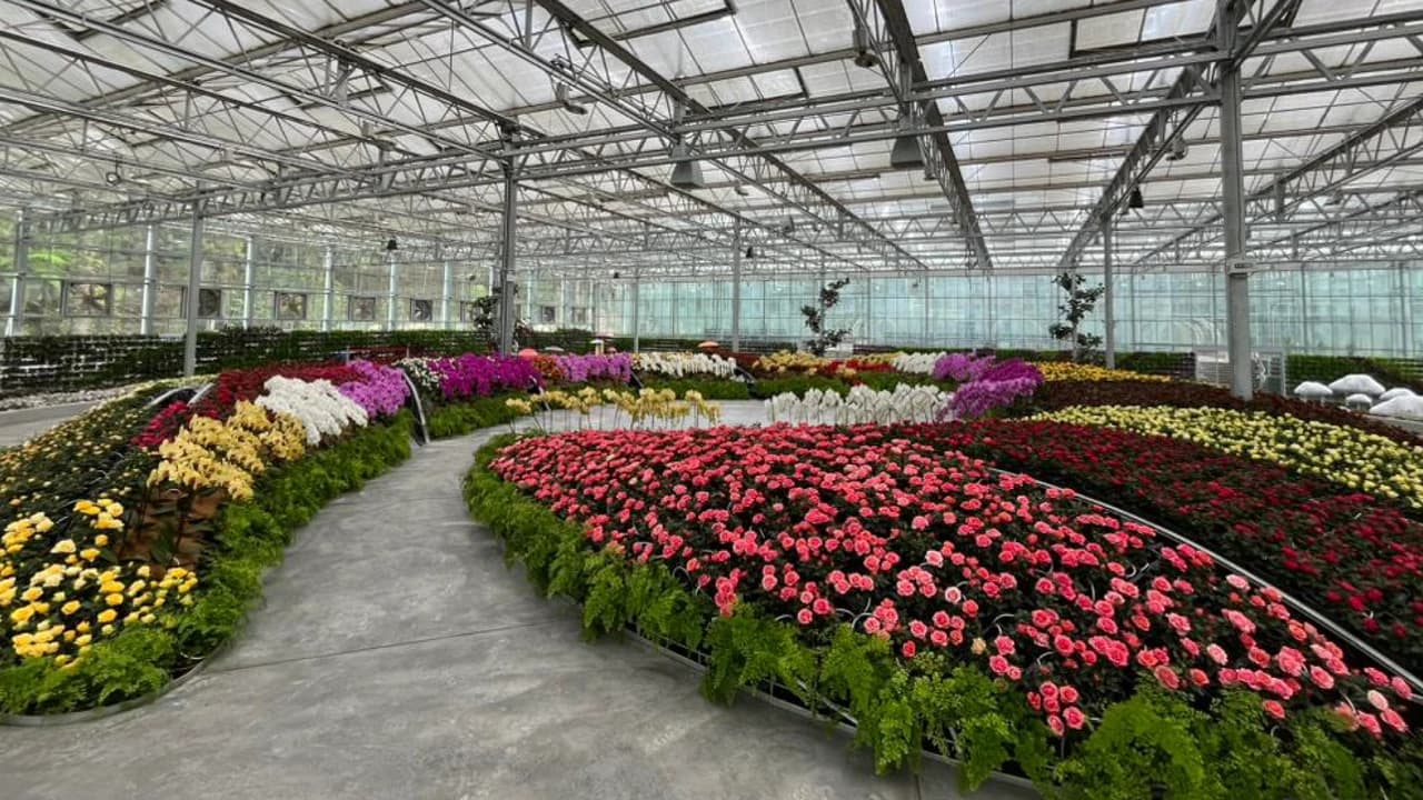 COMBO: Eufloria Gardens & Sculpture Park + Genting Skyway Tickets