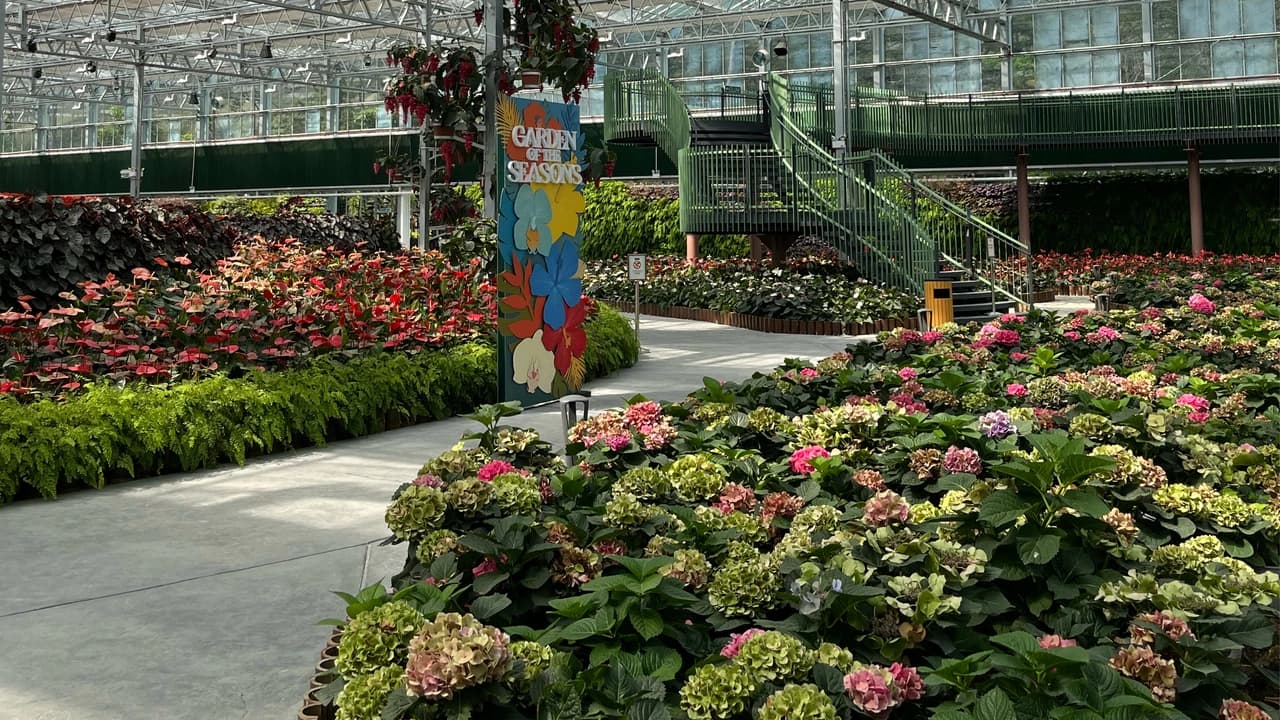 COMBO: Eufloria Gardens & Sculpture Park + Genting Skyway Tickets - image 7