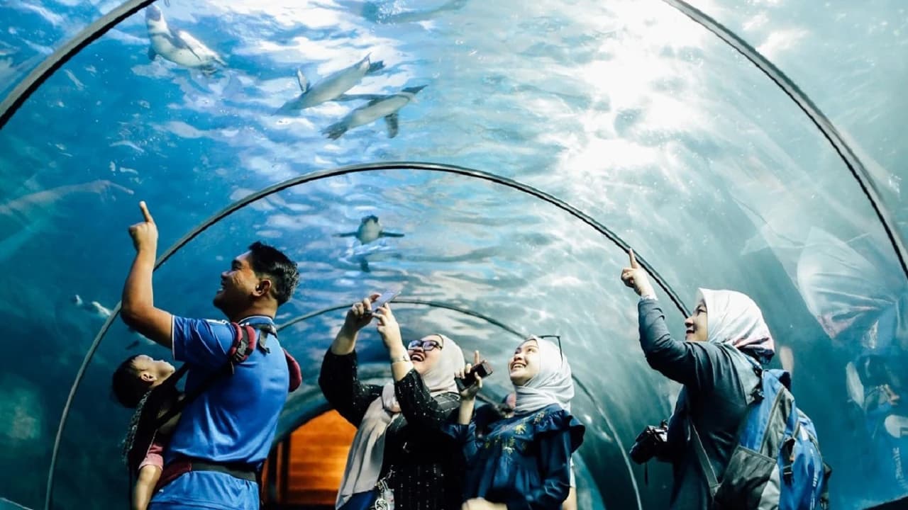 COMBO: Underwater World Langkawi + Crocodile Adventureland