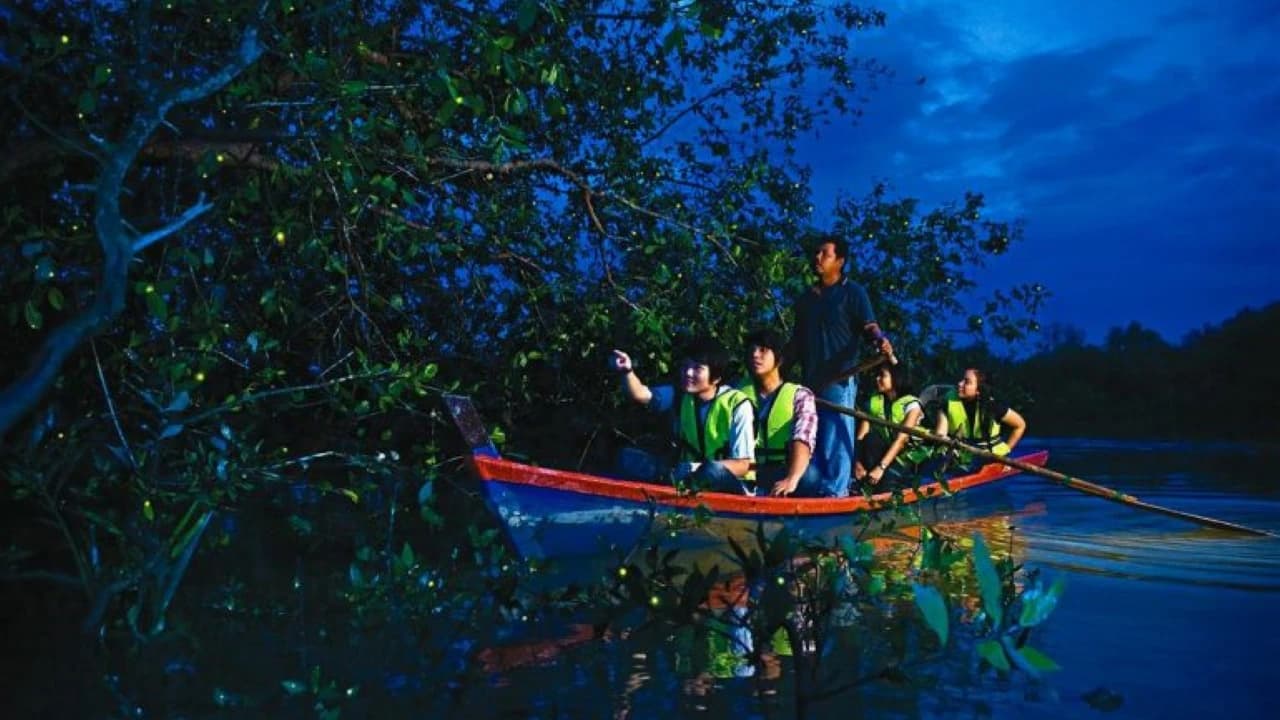 Batu Caves and Kuala Lumpur City Tour with 21 Attractions - image 8