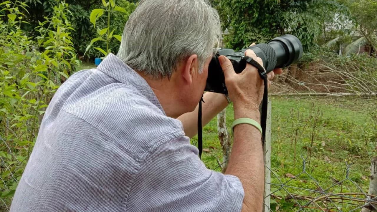 Desaru Coast Birdwatching Experience - image 7