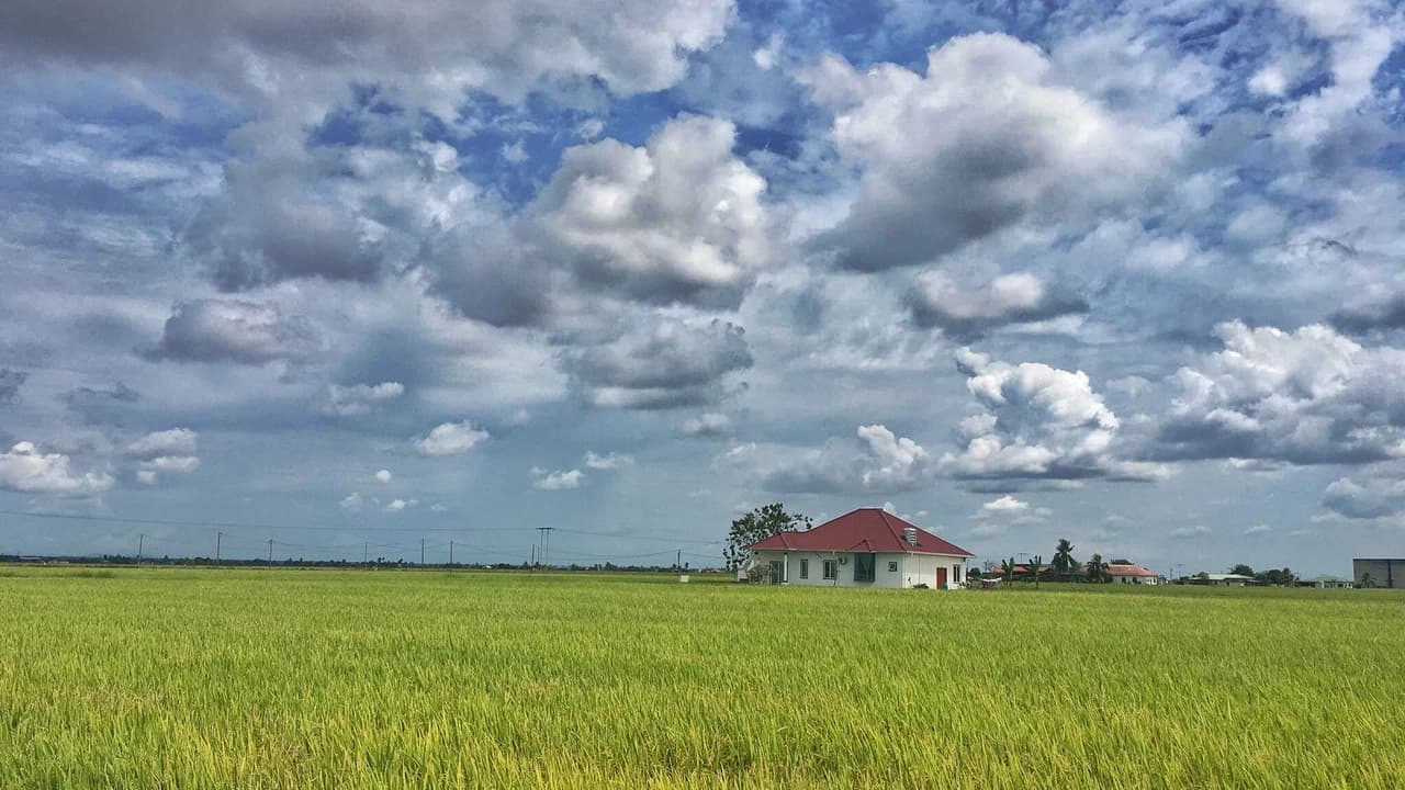 Sekinchan Paddy Fields and Fishing Village Tour from Kuala Lumpur