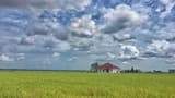 Sekinchan Paddy Fields and Fishing Village Tour from Kuala Lumpur - image 7