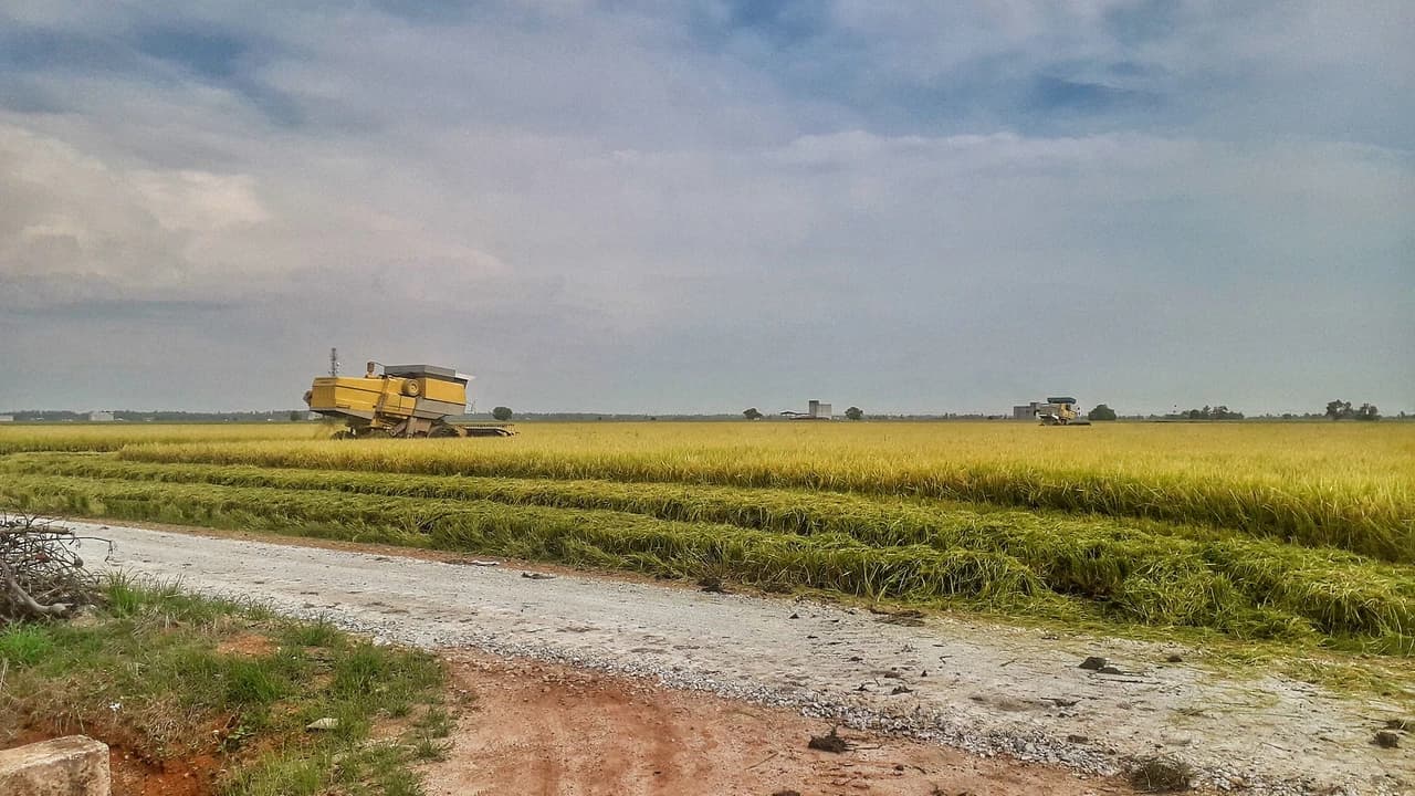 Sekinchan Paddy Fields and Fishing Village Tour from Kuala Lumpur - Photo 2