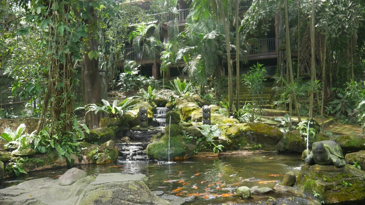 KL Bird Park Admission Ticket With One Way Transfer - Photo 2
