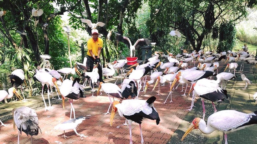 KL Bird Park Admission Ticket With One Way Transfer - Photo 3