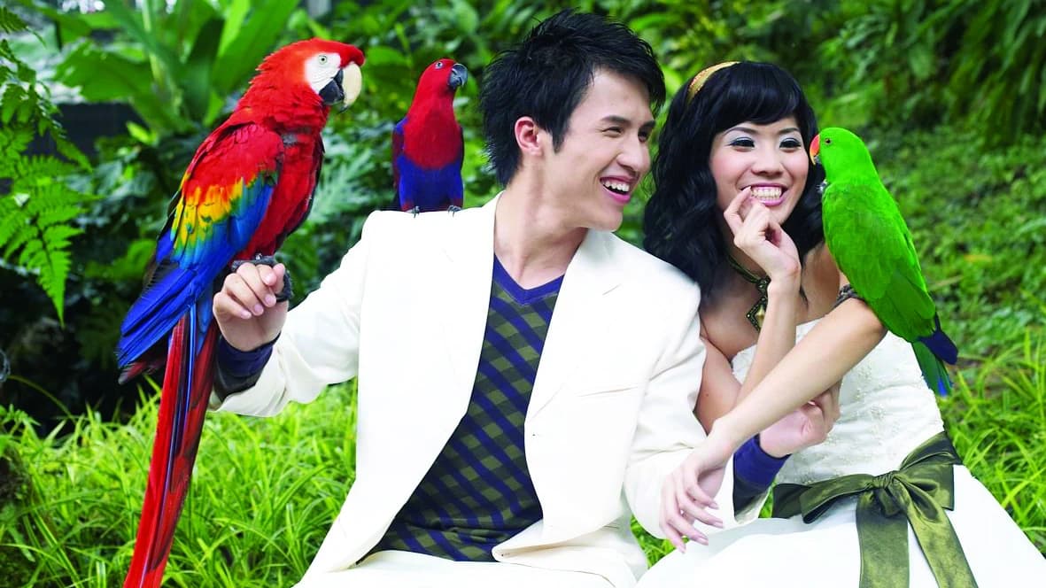 KL Bird Park Admission Ticket With One Way Transfer - Photo 5