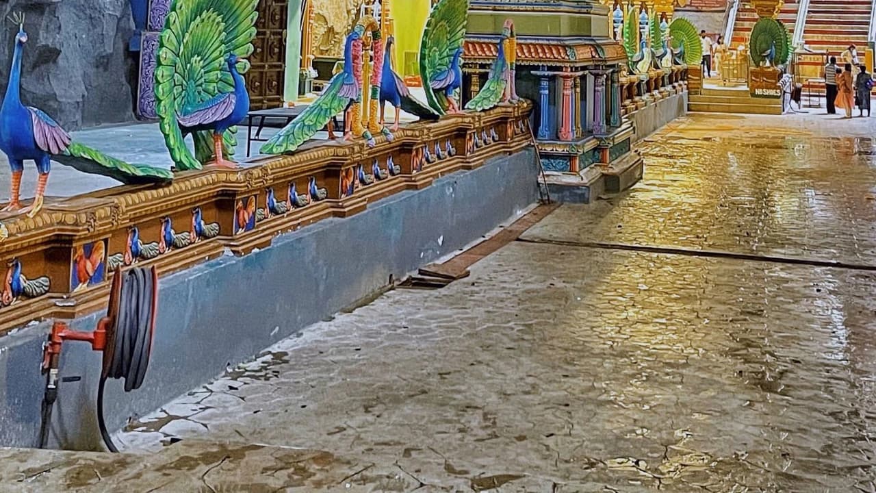 Batu Caves & Colmar Tropicale Full-Day Tour - image 8