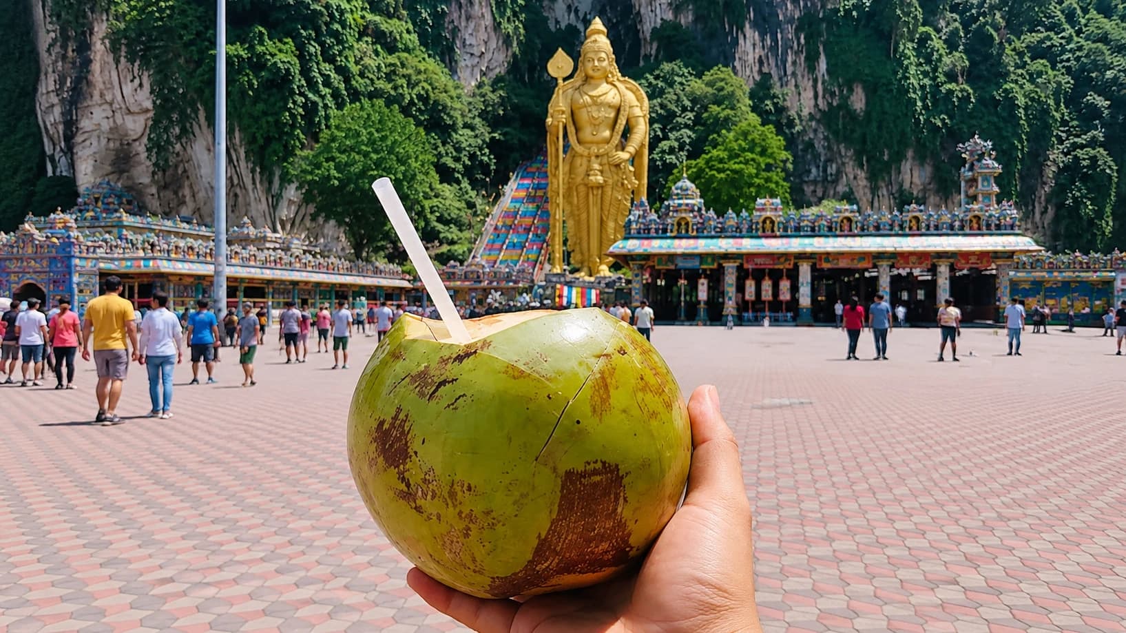 Kuala Lumpur Batu Caves Half-Day Tour with Coconut Water - image 7