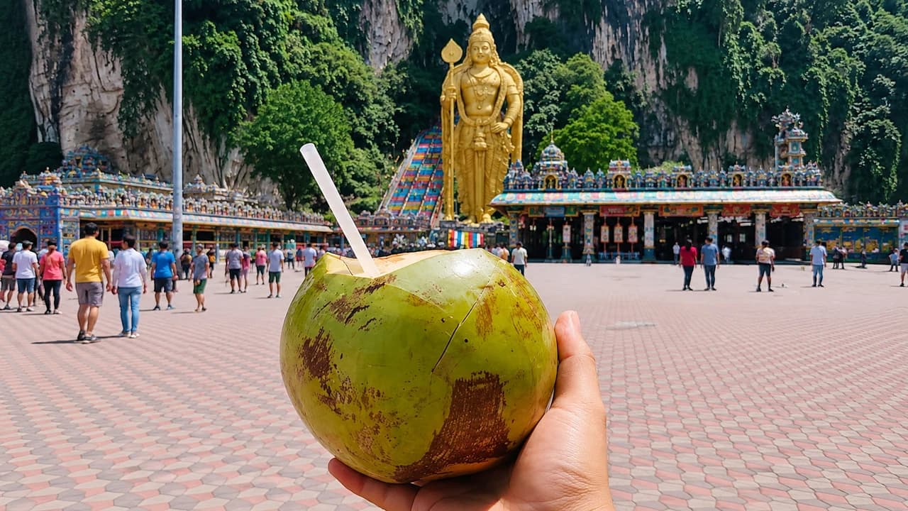 Kuala Lumpur Batu Caves Half-Day Tour with Coconut Water
