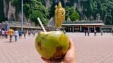 Kuala Lumpur Batu Caves Half-Day Tour with Coconut Water - Photo 5