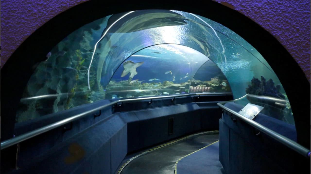 Kuala Lumpur Aquaria KLCC & City Highlights Experience