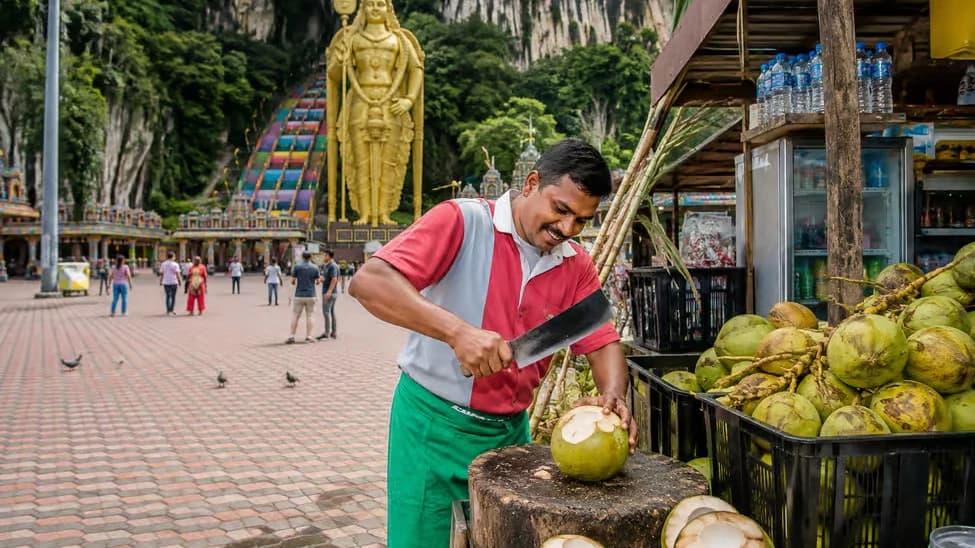 Kuala Lumpur Batu Caves Half-Day Tour with Coconut Water - Photo 4