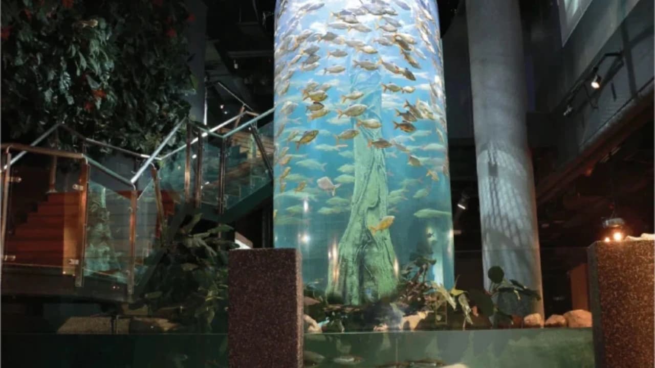 Kuala Lumpur Aquaria KLCC & City Highlights Experience - Photo 3