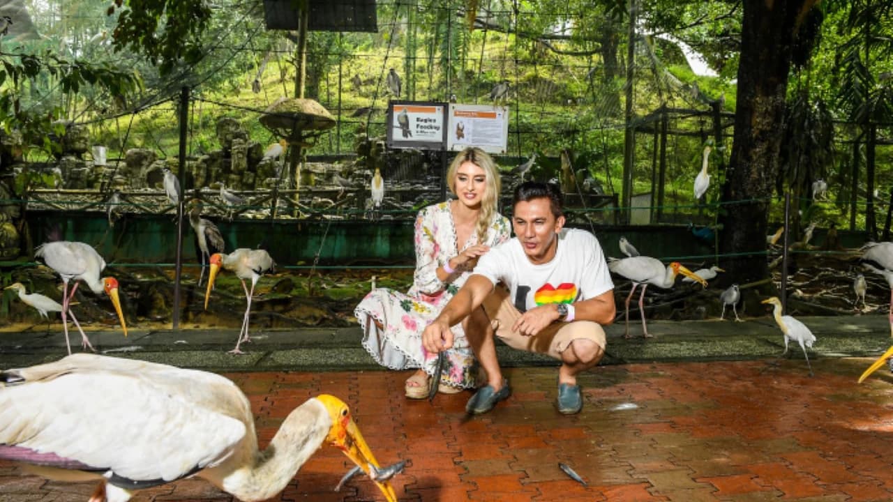 Kuala Lumpur Aquaria KLCC, Bird & Butterfly Park Tour