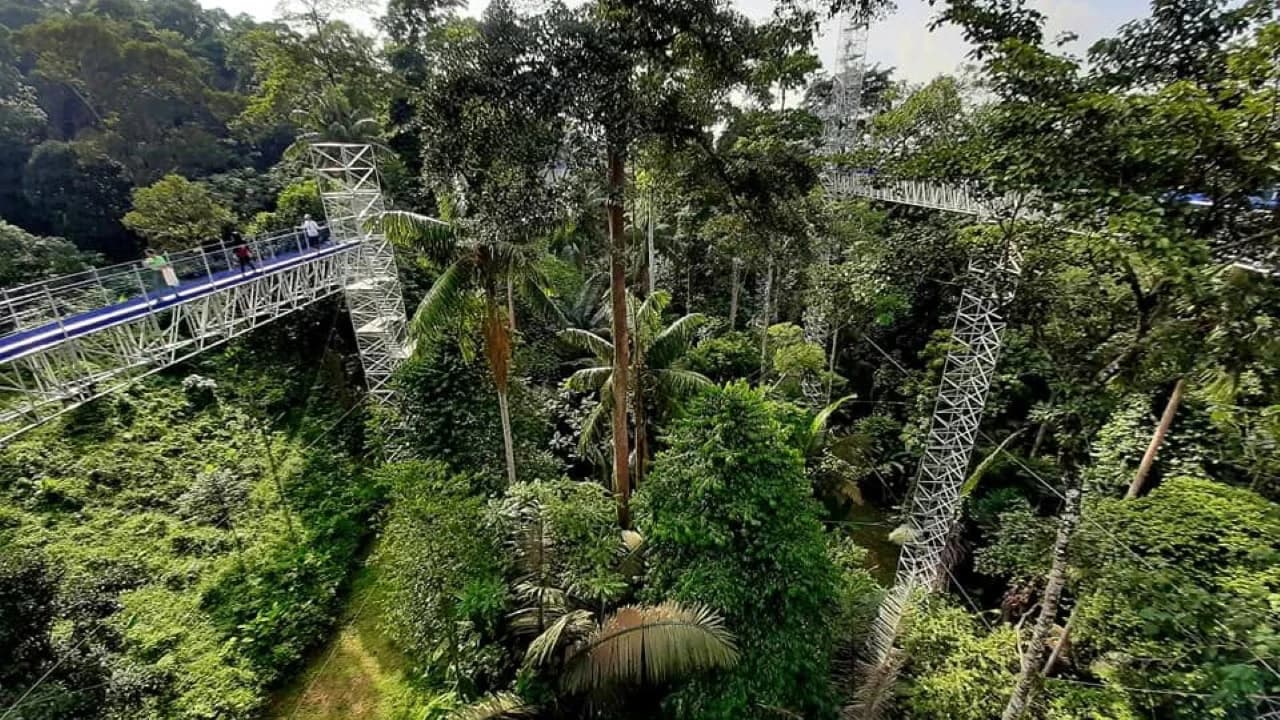 FRIM Forest Skywalk & ATV Full-Day Private Adventure