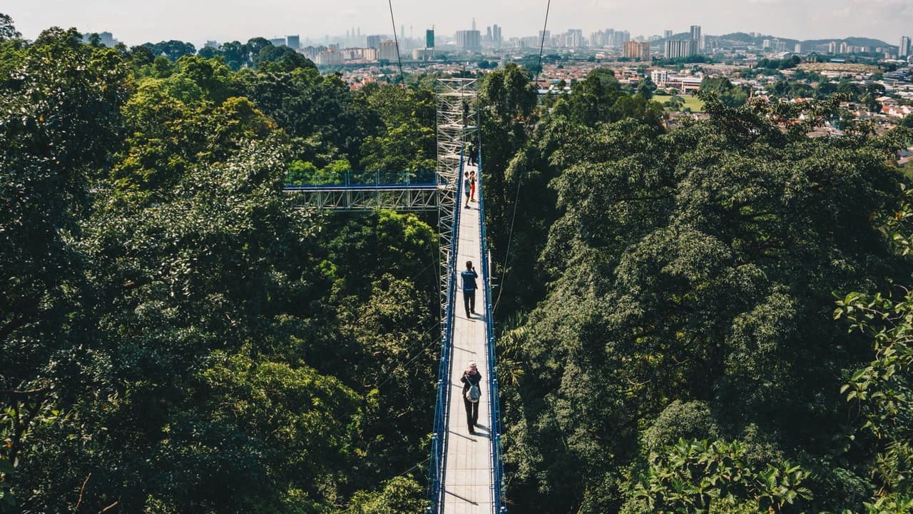 FRIM Rainforest Private Full-Day Trek and Forest Skywalk