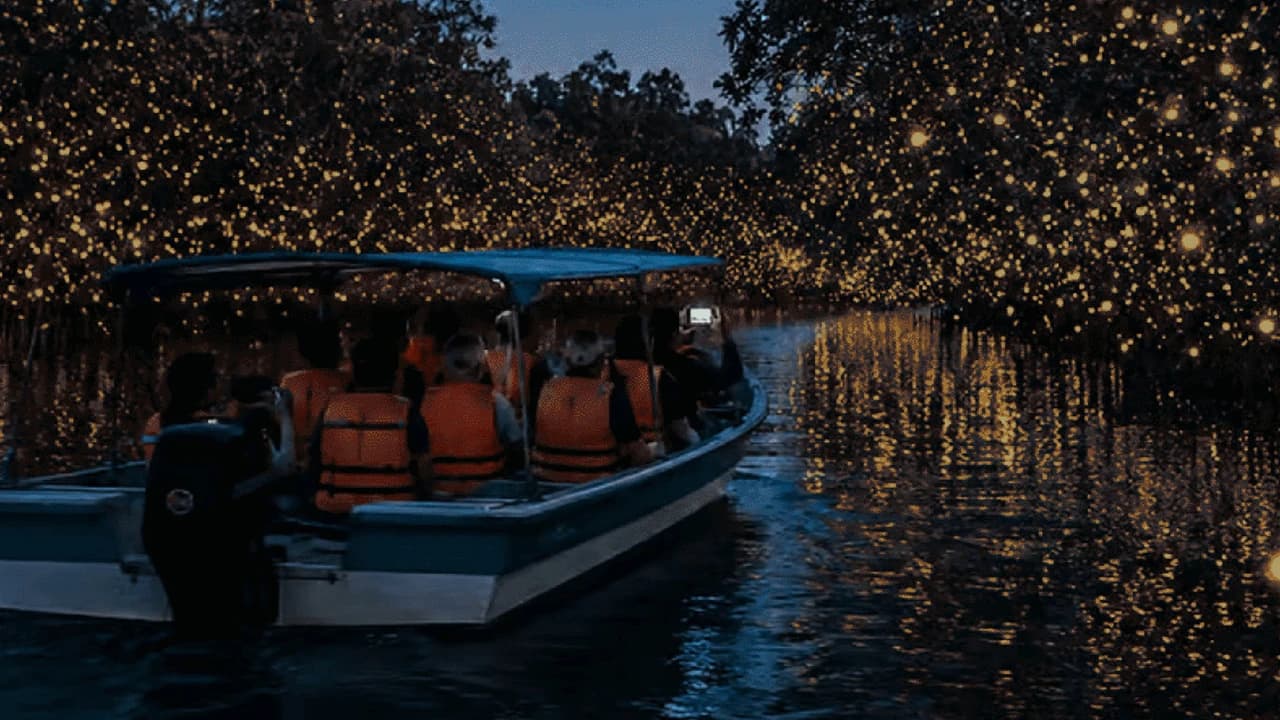 Kuala Lumpur Fireflies, Batu Caves & Malawati Hill Private Tour