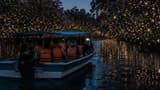 Kuala Lumpur Fireflies, Batu Caves & Malawati Hill Private Tour - image 8