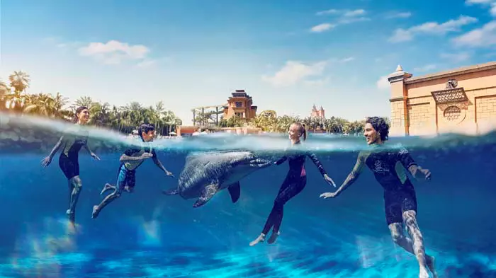 Dolphin Bay at Atlantis the Palm - Photo 7