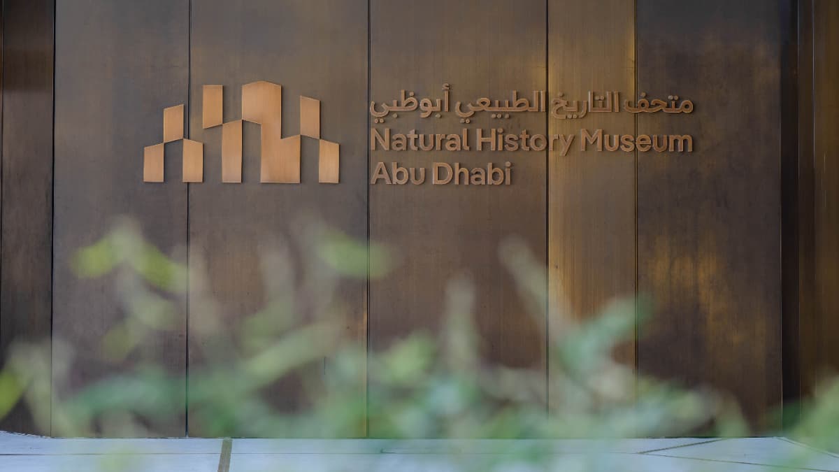 Natural History Museum, Abu-Dhabi - Photo 8