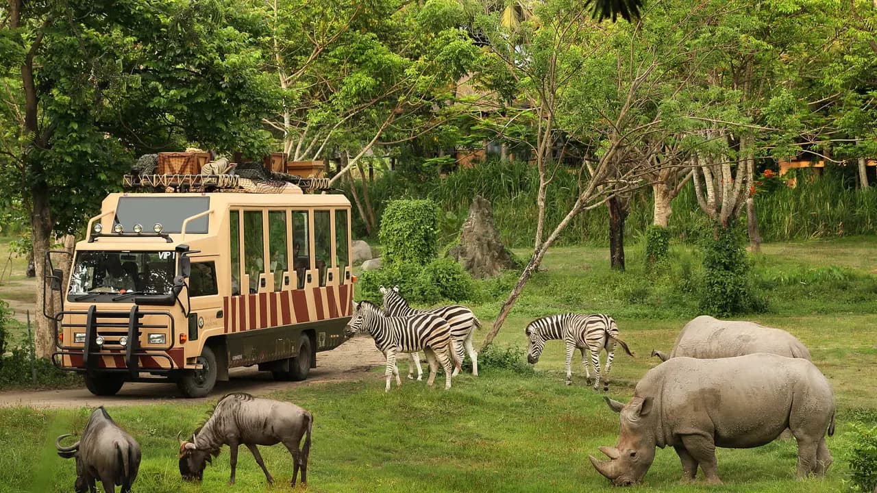 Bali Safari Park Ticket