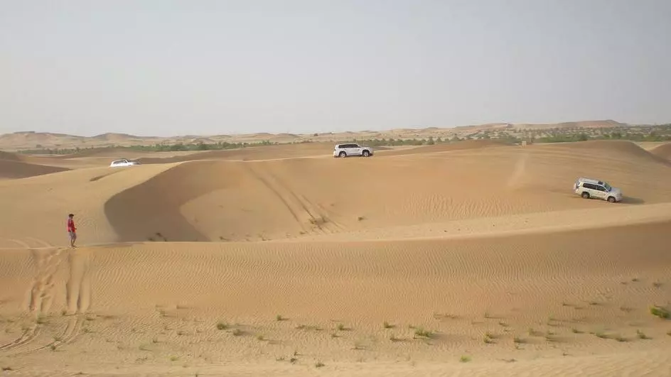 Morning Desert Safari Dubai  - Photo 11
