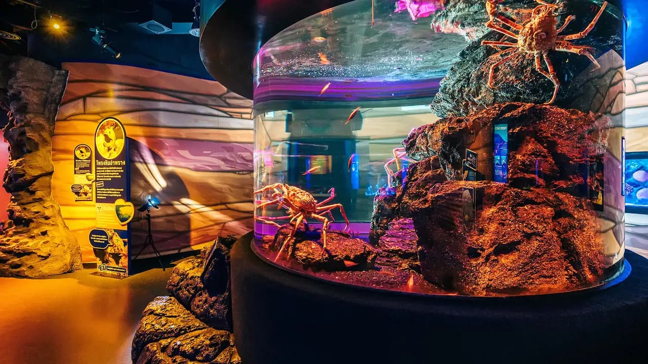 SEA LIFE Bangkok Ocean World Ticket - Photo 5