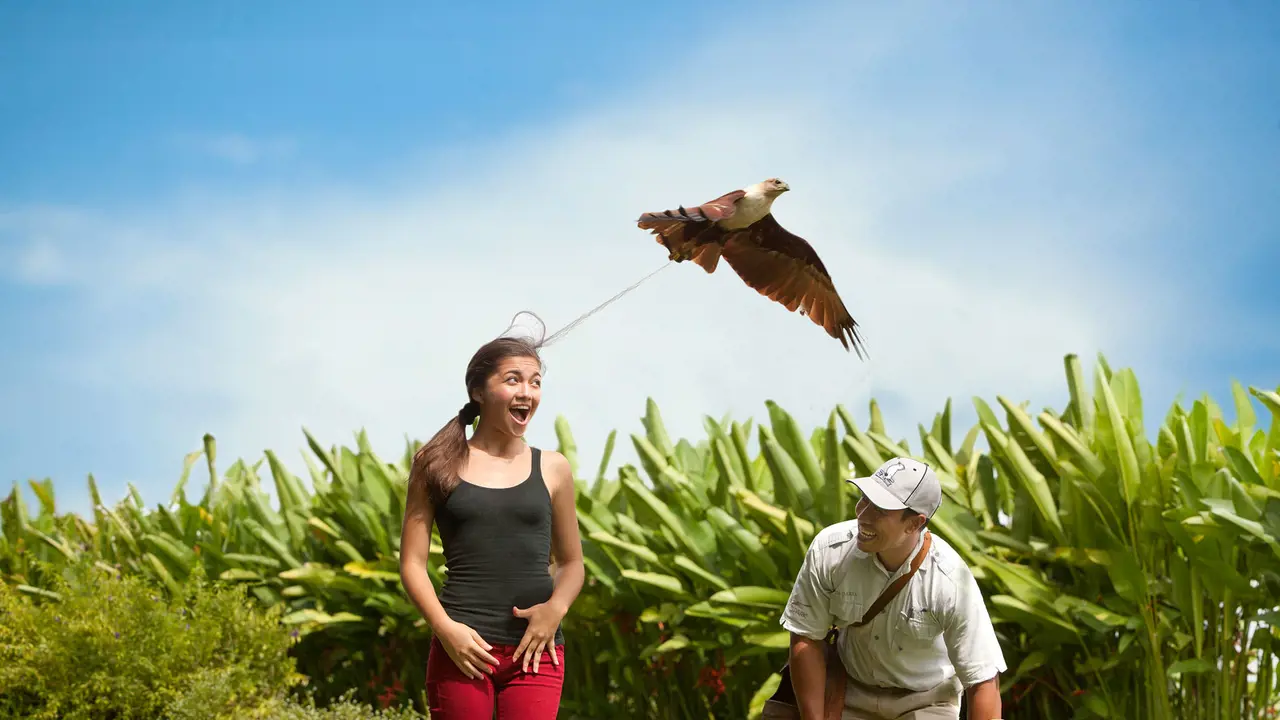 Bali Bird Park Ticket - Photo 3